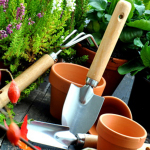 OnShop24.eu - Ihr Ansprechpartner rund um Wohnen und Garten