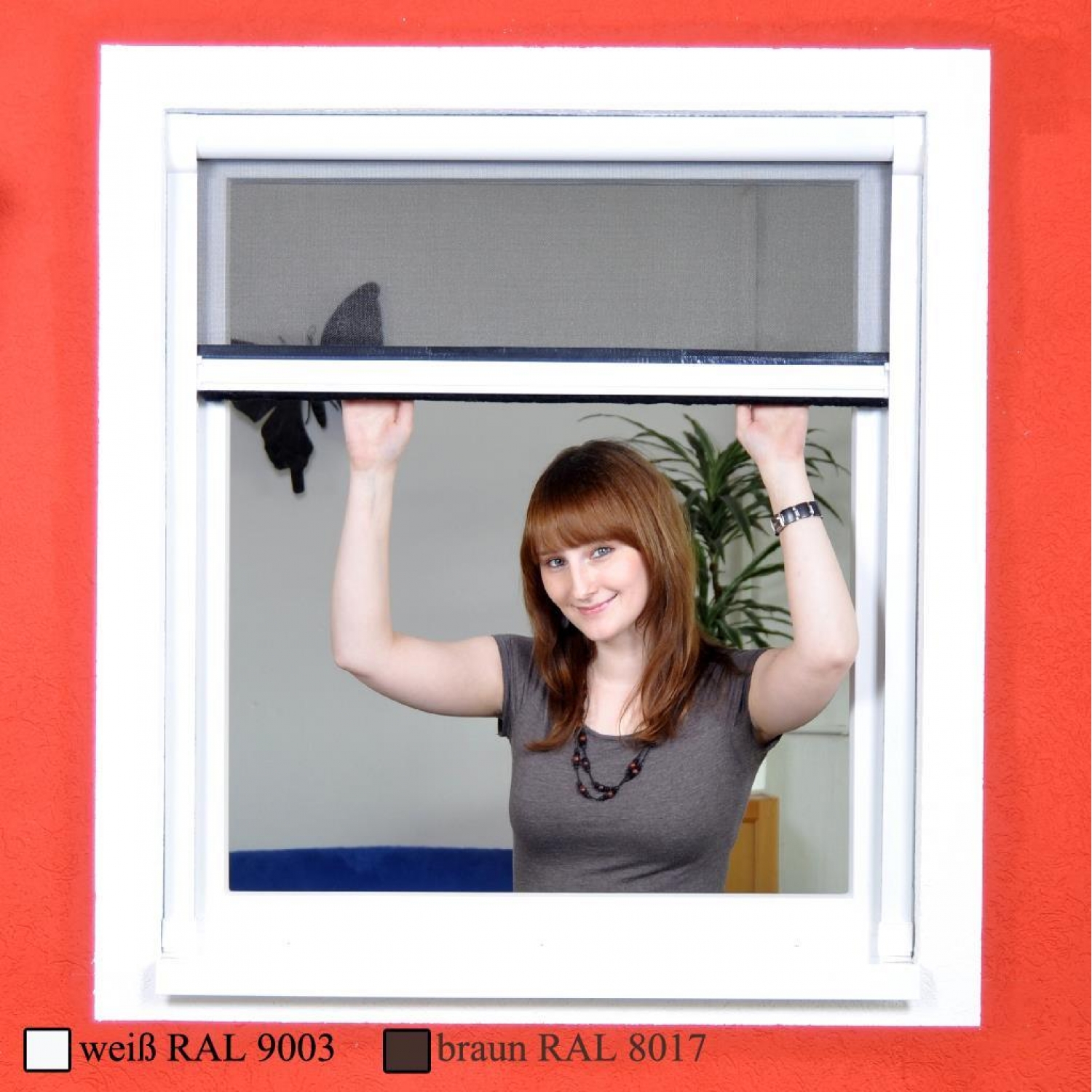 Standard Insektenschutz Rollo für Fenster ohne Bohren zum Klemmen, 29,99