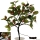 Weihnachtlicher LED Baum - künstliche Stechpalme 45 cm - Weihnachtsdeko Weihnachtsbeleuchtung