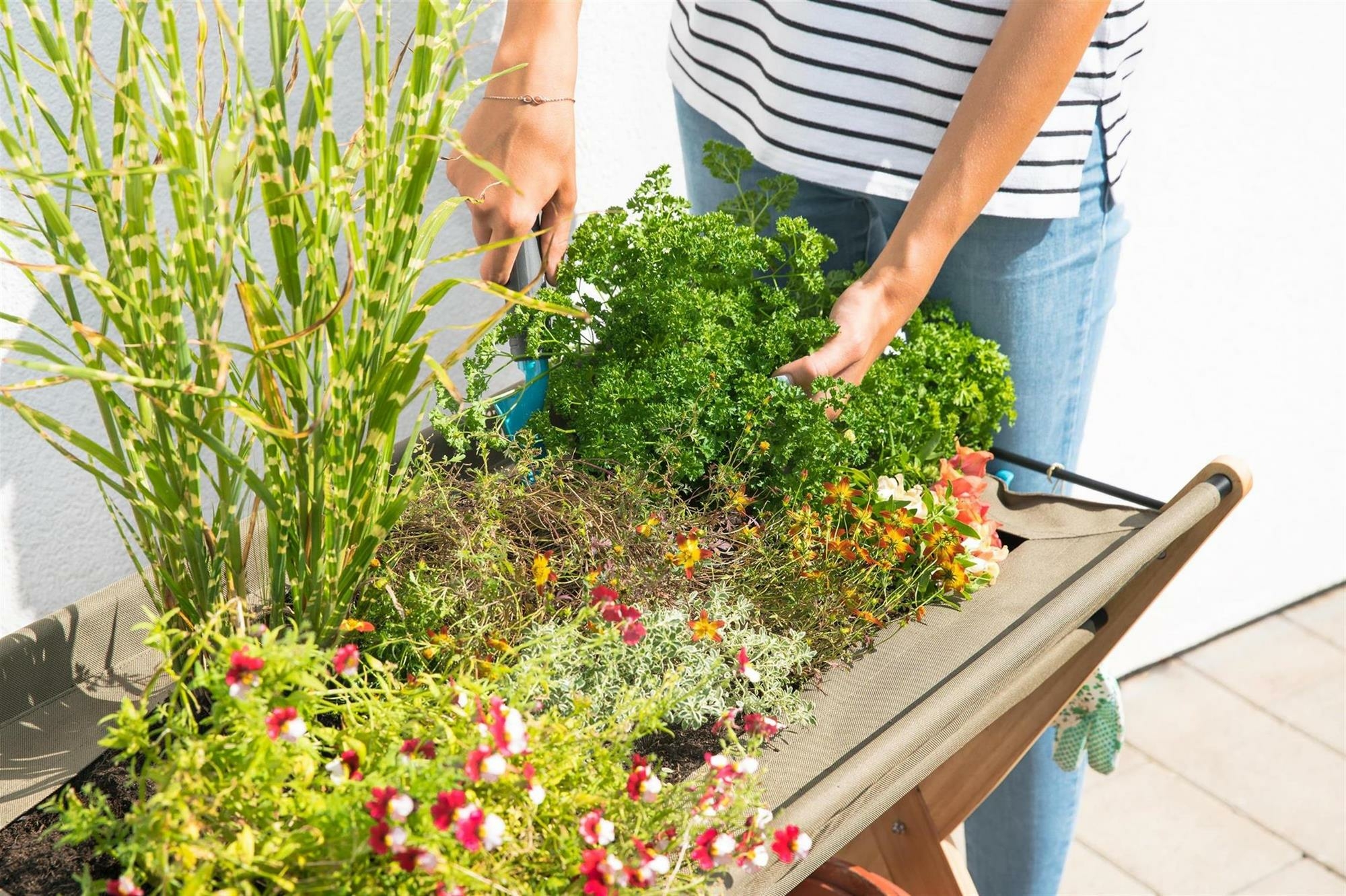 56+ Erde Für Gemüsebeet, Wähle die richtige erde für dein