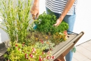 Hochbeet GROW für ganze Säcke mit Erde - Gemüsebeet Kräuterbeet - Beet für Terrasse Balkon & Garten