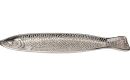 Dekoschale FISCH aus Aluguss - Forelle silber - Schale 44...