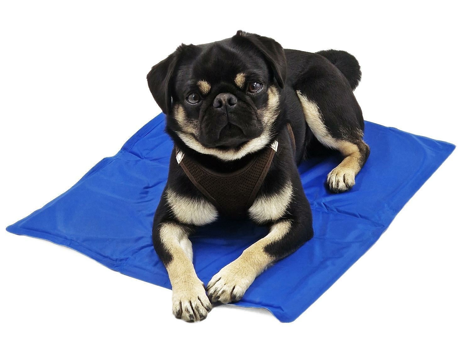 Kühlmatte Für Hund Und Katze 93x78 Cm – Kühlendes Liegekissen Ohne Strom, Aktiviert Durch Körpergewicht