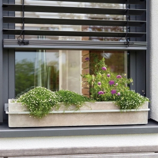 blumenkasten balkon mit rankgitter robinia-pro PFLANZKASTEN mit RANKGITTER klassisch, auf Rollen – robinia24