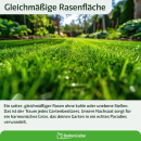 BodenLiebe Rasenblitz Nachsaat - keimsichere Rasensaat Rasensamen - starkes & schnelles Wachstum - kräftig grüner Rasen