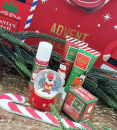 Body Care Adventskalender 2025 SANTAS MAIL - Unisex Körperpflege Weihnachtskalender als Briefumschlag